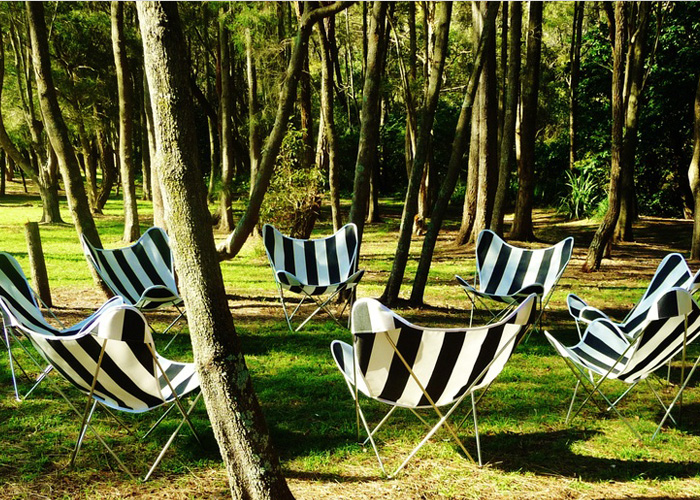 蝴蝶椅（Butterfly Lounge Chair）